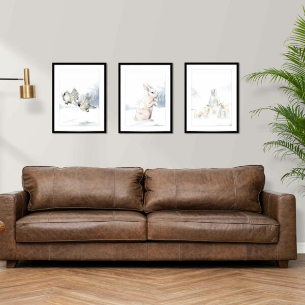 Animals 3