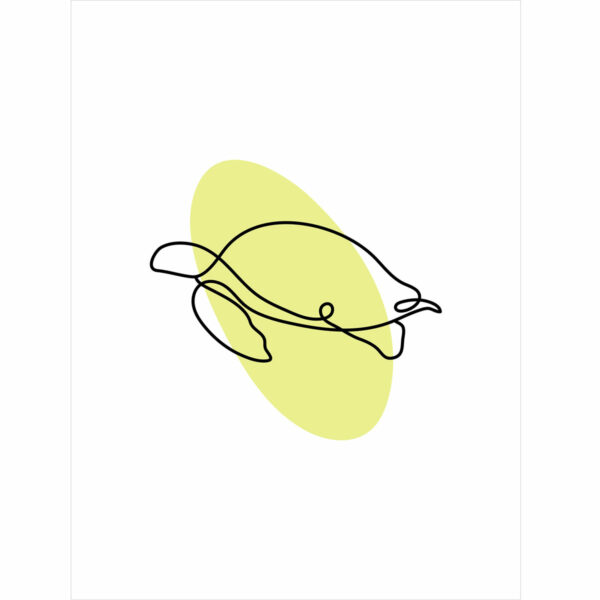 Animals 4 - Image 4