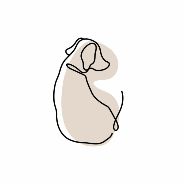 Animals 5 - Image 2