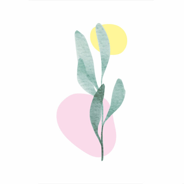 Botanical - Image 2