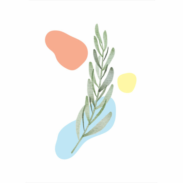 Botanical - Image 3