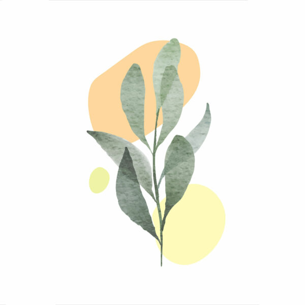 Botanical - Image 4