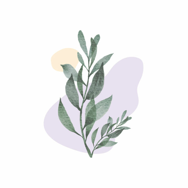 Botanical 2 - Image 2