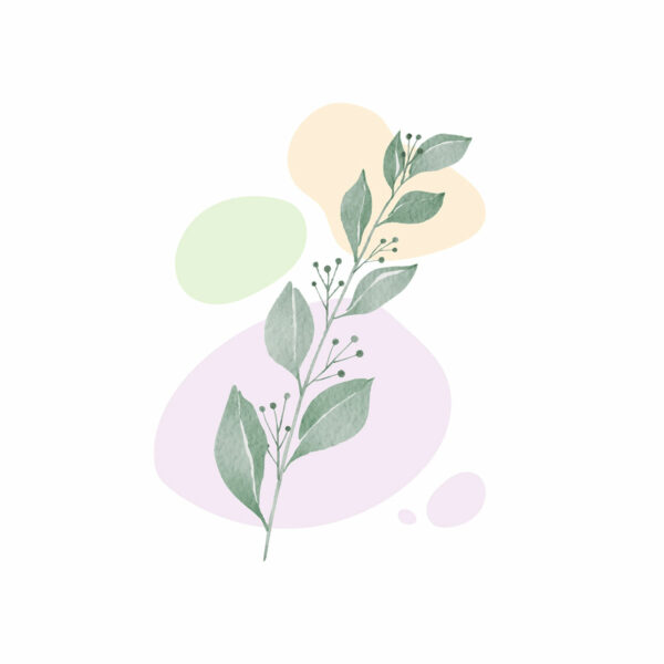 Botanical 2 - Image 4