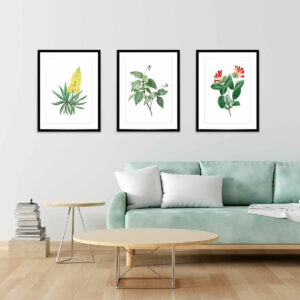 Botanical 5