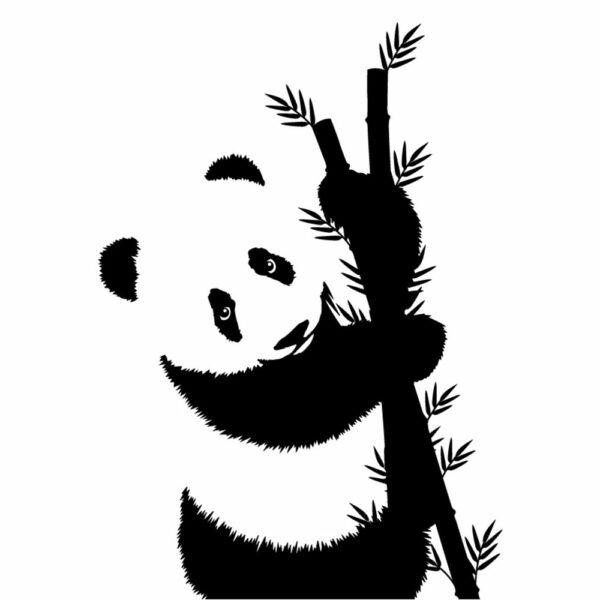 Panda - Image 2